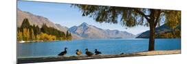 Autumnal Lake Wakatipu at Queenstown, Otago, South Island, New Zealand, Pacific-Matthew Williams-Ellis-Mounted Premium Photographic Print