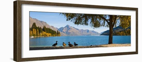 Autumnal Lake Wakatipu at Queenstown, Otago, South Island, New Zealand, Pacific-Matthew Williams-Ellis-Framed Photographic Print
