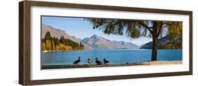 Autumnal Lake Wakatipu at Queenstown, Otago, South Island, New Zealand, Pacific-Matthew Williams-Ellis-Framed Photographic Print