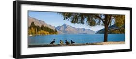 Autumnal Lake Wakatipu at Queenstown, Otago, South Island, New Zealand, Pacific-Matthew Williams-Ellis-Framed Photographic Print