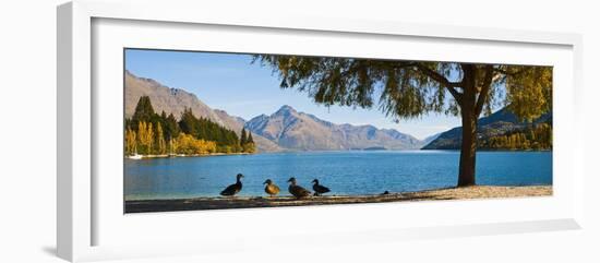 Autumnal Lake Wakatipu at Queenstown, Otago, South Island, New Zealand, Pacific-Matthew Williams-Ellis-Framed Photographic Print