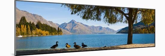 Autumnal Lake Wakatipu at Queenstown, Otago, South Island, New Zealand, Pacific-Matthew Williams-Ellis-Mounted Photographic Print