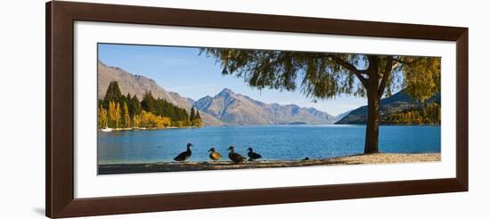 Autumnal Lake Wakatipu at Queenstown, Otago, South Island, New Zealand, Pacific-Matthew Williams-Ellis-Framed Photographic Print