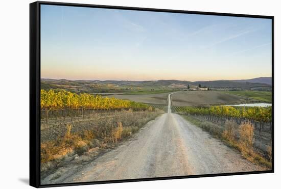 Autumnal Landscape around Tenuta Dello Sparviero, Castellina in Chianti-Guido Cozzi-Framed Stretched Canvas