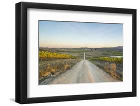 Autumnal Landscape around Tenuta Dello Sparviero, Castellina in Chianti-Guido Cozzi-Framed Premium Photographic Print