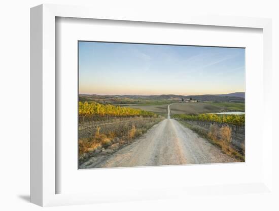 Autumnal Landscape around Tenuta Dello Sparviero, Castellina in Chianti-Guido Cozzi-Framed Photographic Print