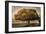 Autumnal Landscape-David Winston-Framed Giclee Print