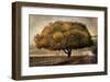 Autumnal Landscape-David Winston-Framed Giclee Print