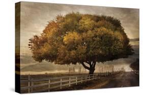 Autumnal Landscape-David Winston-Stretched Canvas