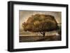 Autumnal Landscape-David Lorenz Winston-Framed Art Print