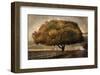 Autumnal Landscape-David Lorenz Winston-Framed Art Print