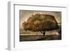 Autumnal Landscape-David Lorenz Winston-Framed Art Print