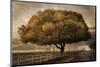 Autumnal Landscape-David Lorenz Winston-Mounted Art Print