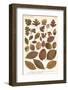 Autumnal Leaves-null-Framed Photographic Print