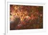 Autumnal Maple Leaves, Kyoto, Japan-Stuart Black-Framed Photographic Print