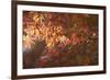 Autumnal Maple Leaves, Kyoto, Japan-Stuart Black-Framed Photographic Print