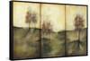 Autumnal Meadow I-Jennifer Goldberger-Framed Stretched Canvas