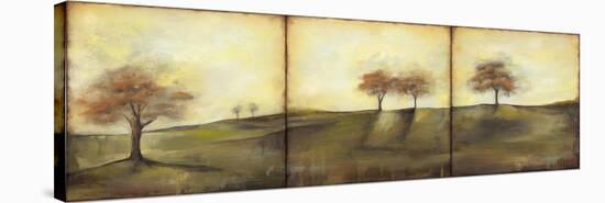 Autumnal Meadow II-Jennifer Goldberger-Stretched Canvas