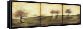 Autumnal Meadow II-Jennifer Goldberger-Framed Stretched Canvas