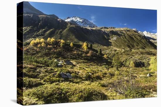 Autumnal Mountain World in the Silvretta-Jurgen Ulmer-Stretched Canvas