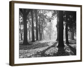 Autumnal Scene-null-Framed Photographic Print