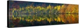 Autumnal Silence-Burger Jochen-Stretched Canvas