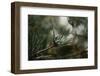 Autumnal Teutoburg Forest.-Nadja Jacke-Framed Photographic Print