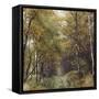 Autumnal Teutoburg Forest.-Nadja Jacke-Framed Stretched Canvas