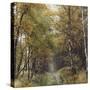 Autumnal Teutoburg Forest.-Nadja Jacke-Stretched Canvas