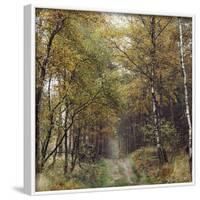 Autumnal Teutoburg Forest.-Nadja Jacke-Framed Photographic Print