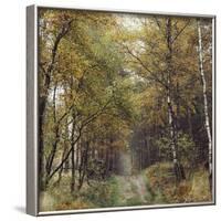 Autumnal Teutoburg Forest.-Nadja Jacke-Framed Photographic Print