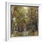 Autumnal Teutoburg Forest.-Nadja Jacke-Framed Photographic Print