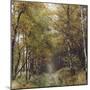 Autumnal Teutoburg Forest.-Nadja Jacke-Mounted Photographic Print