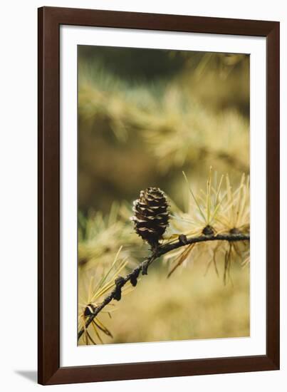 Autumnal Teutoburg Forest.-Nadja Jacke-Framed Photographic Print