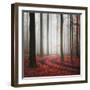 Autumnal Tracks-Carsten Meyerdierks-Framed Photographic Print