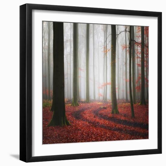Autumnal Tracks-Carsten Meyerdierks-Framed Photographic Print