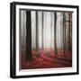 Autumnal Tracks-Carsten Meyerdierks-Framed Photographic Print