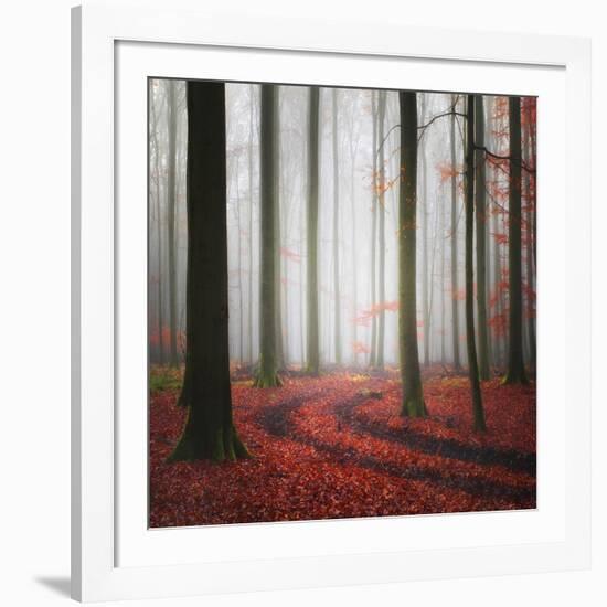 Autumnal Tracks-Carsten Meyerdierks-Framed Photographic Print