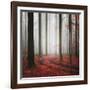 Autumnal Tracks-Carsten Meyerdierks-Framed Photographic Print