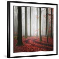 Autumnal Tracks-Carsten Meyerdierks-Framed Photographic Print