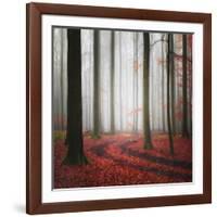 Autumnal Tracks-Carsten Meyerdierks-Framed Photographic Print