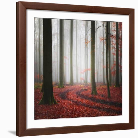 Autumnal Tracks-Carsten Meyerdierks-Framed Photographic Print