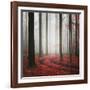 Autumnal Tracks-Carsten Meyerdierks-Framed Photographic Print