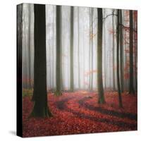 Autumnal Tracks-Carsten Meyerdierks-Stretched Canvas