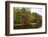 Autumnal trees along river, Muskoka, Ontario, Canada-Panoramic Images-Framed Photographic Print