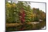 Autumnal trees along river, Muskoka, Ontario, Canada-Panoramic Images-Mounted Photographic Print