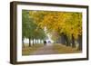 Autumnal Trees, Hyde Park, London, England, United Kingdom, Europe-Stuart Black-Framed Photographic Print