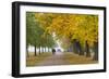 Autumnal Trees, Hyde Park, London, England, United Kingdom, Europe-Stuart Black-Framed Photographic Print