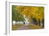 Autumnal Trees, Hyde Park, London, England, United Kingdom, Europe-Stuart Black-Framed Photographic Print