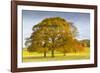 Autumnal trees in Chatsworth Park, Peak District National Park, Derbyshire, England, United Kingdom-Frank Fell-Framed Photographic Print